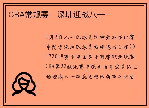 CBA常规赛：深圳迎战八一