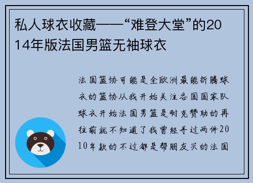 私人球衣收藏——“难登大堂”的2014年版法国男篮无袖球衣